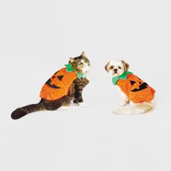 Plush Pumpkin Halloween Dog and Cat Costume - S - Boots & Barkley™