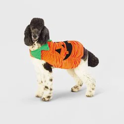 Plush Pumpkin Halloween Dog Costume - L - Boots & Barkley™