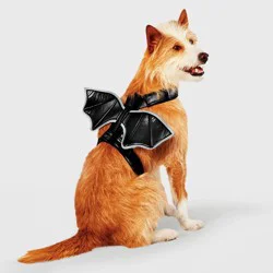 Bat Wings Rider Reflective Halloween Dog Costume - S/M - Boots & Barkley™