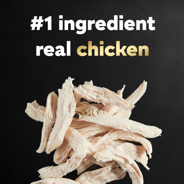 slide 25 of 29, Cesar Rtsse Chicken And Veggie, 5 lb