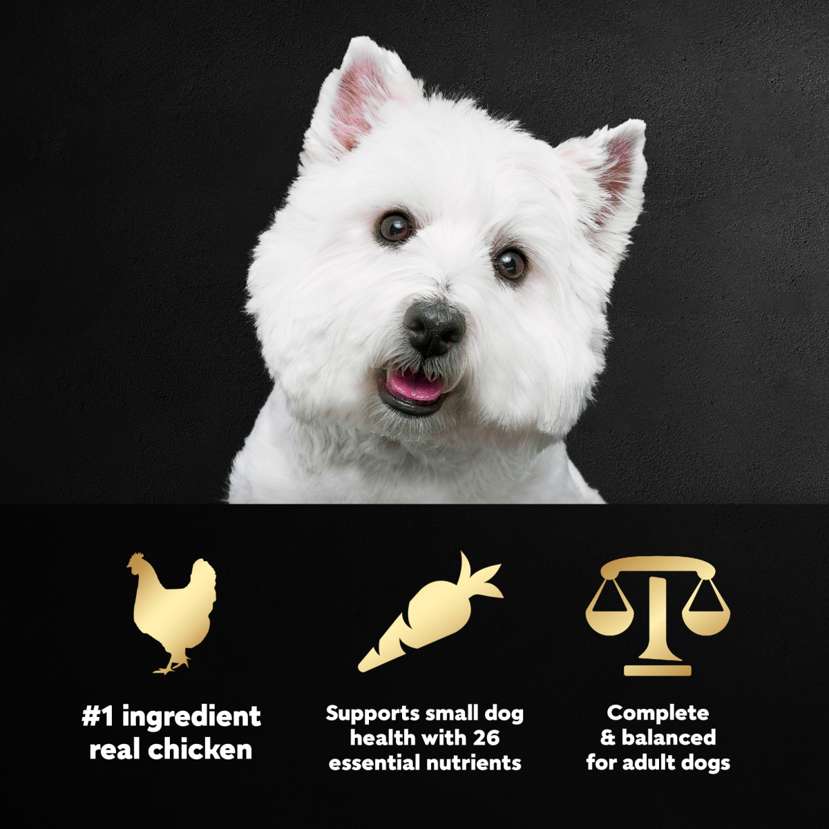 slide 17 of 29, Cesar Rtsse Chicken And Veggie, 5 lb