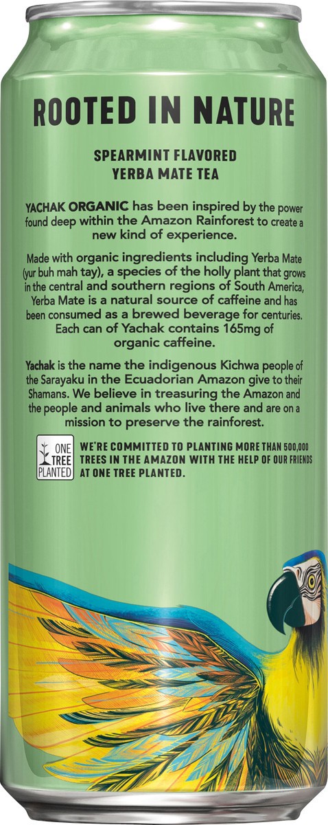 slide 7 of 8, YACHAK Yerba Mate Ultimate Mint Energy Drink, 16 fl oz