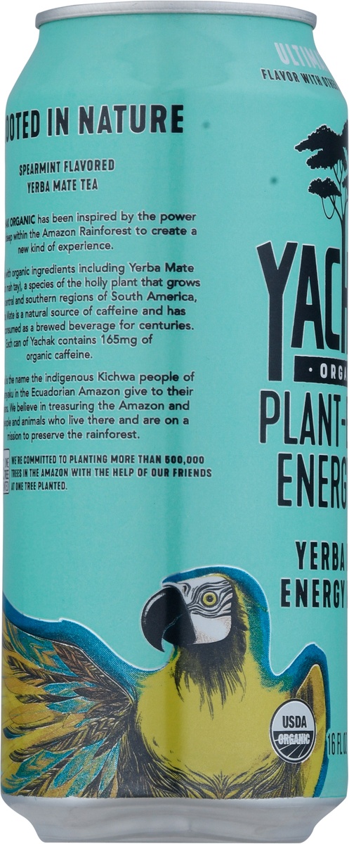 slide 7 of 11, Yachak Organic Ultimate Mint Yerba Mate, 16 oz