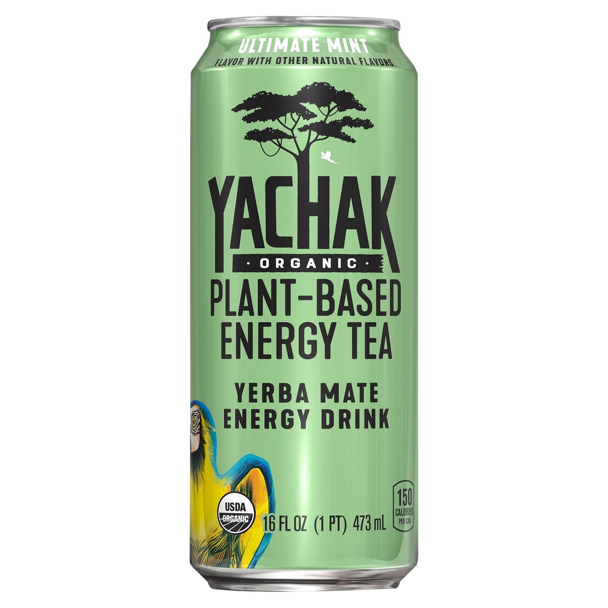 slide 1 of 1, Yachak Organic Yerba Mate Energy Drink Plant Based Energy Tea Ultimate Mint 16 Fl Oz Can, 16 oz