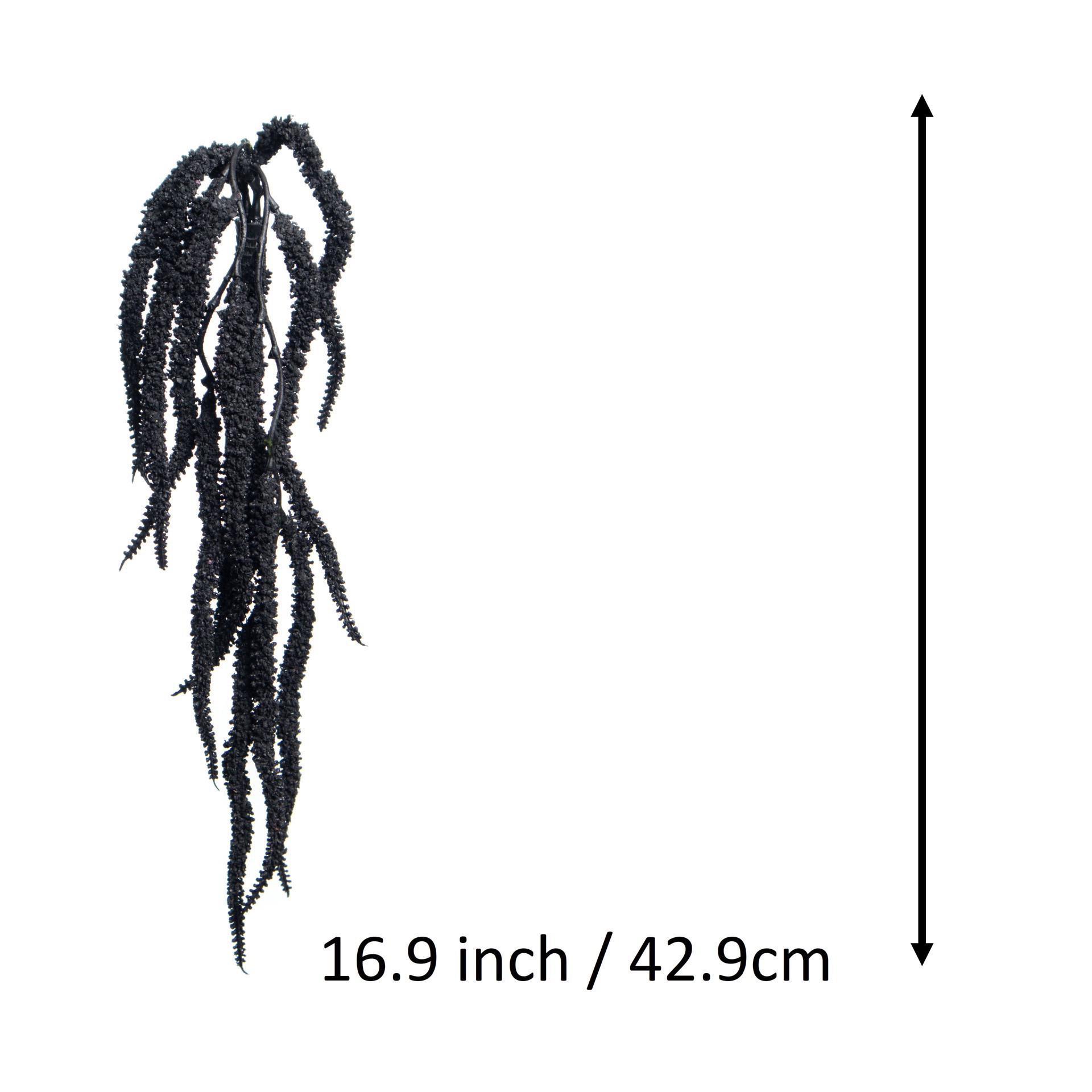 slide 2 of 3, 17" Amaranth Pick By Ashland, 17 in