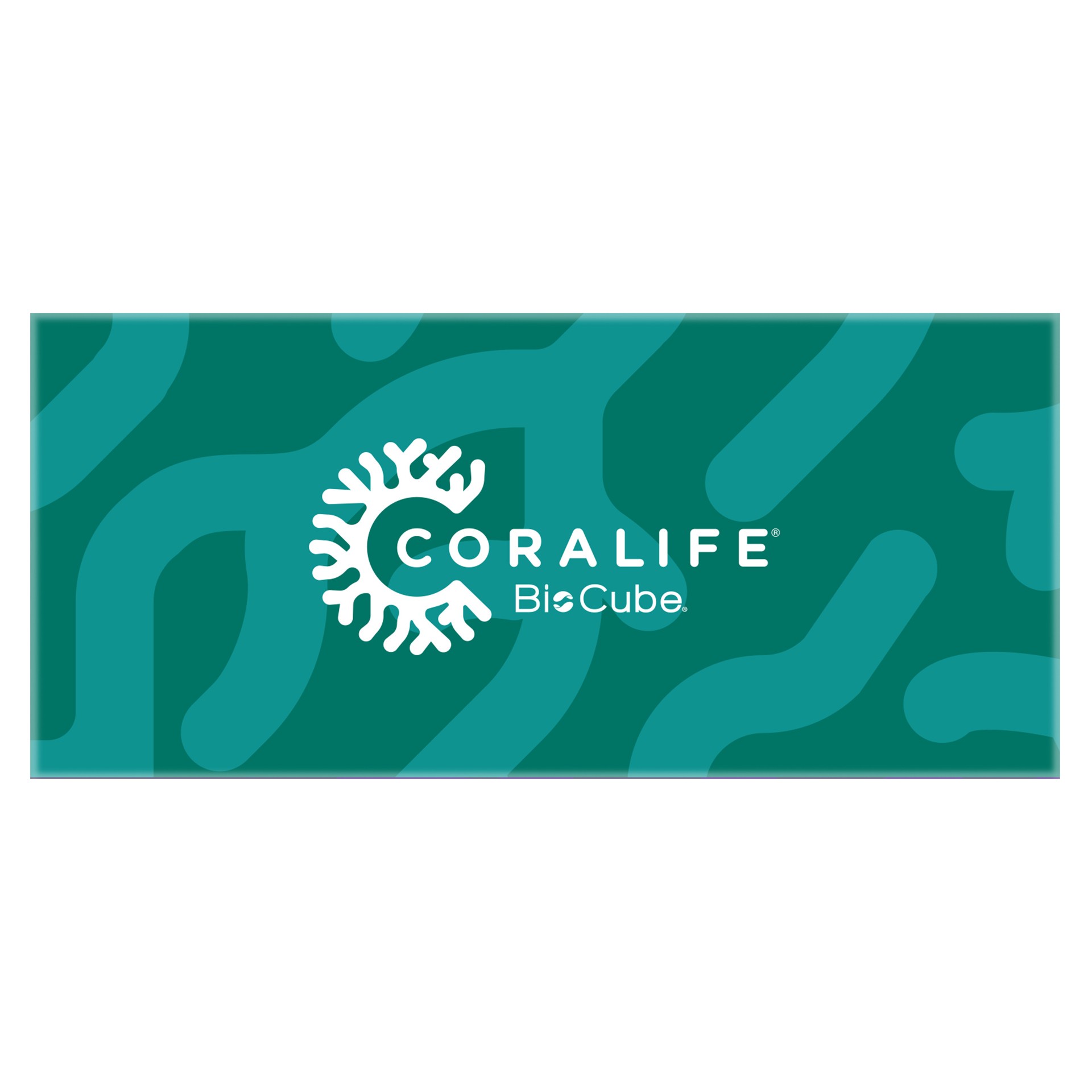 slide 2 of 6, Oceanic BioCube Circulation Aquarium Pump, 1 cnt