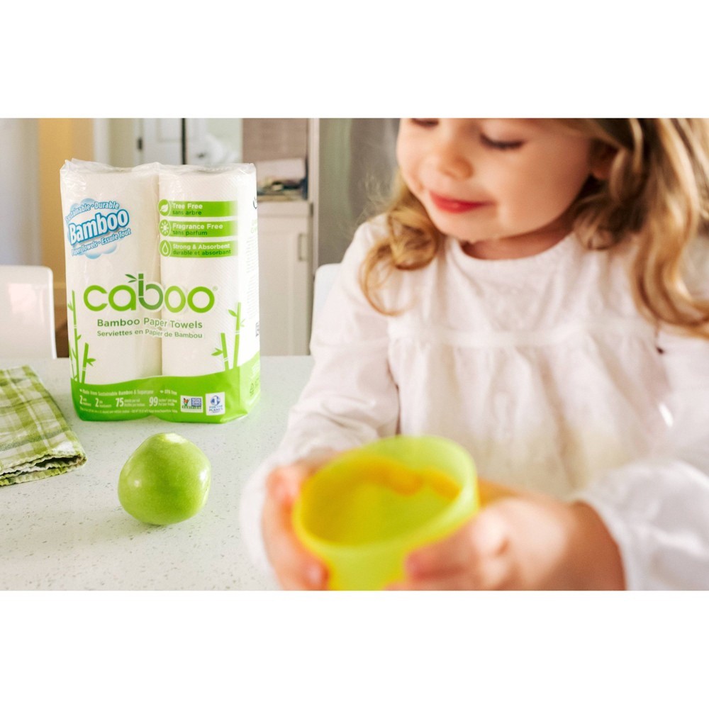 slide 2 of 5, Caboo Bamboo Paper Towels, 2 ct