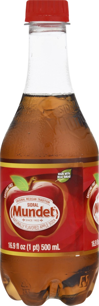 slide 6 of 13, Sidral Mundet Apple Soda - 16.9 fl oz, 16.9 fl oz