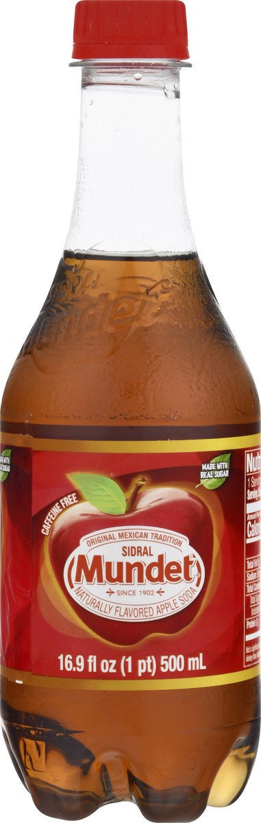 slide 1 of 13, Sidral Mundet Apple Soda - 16.9 fl oz, 16.9 fl oz