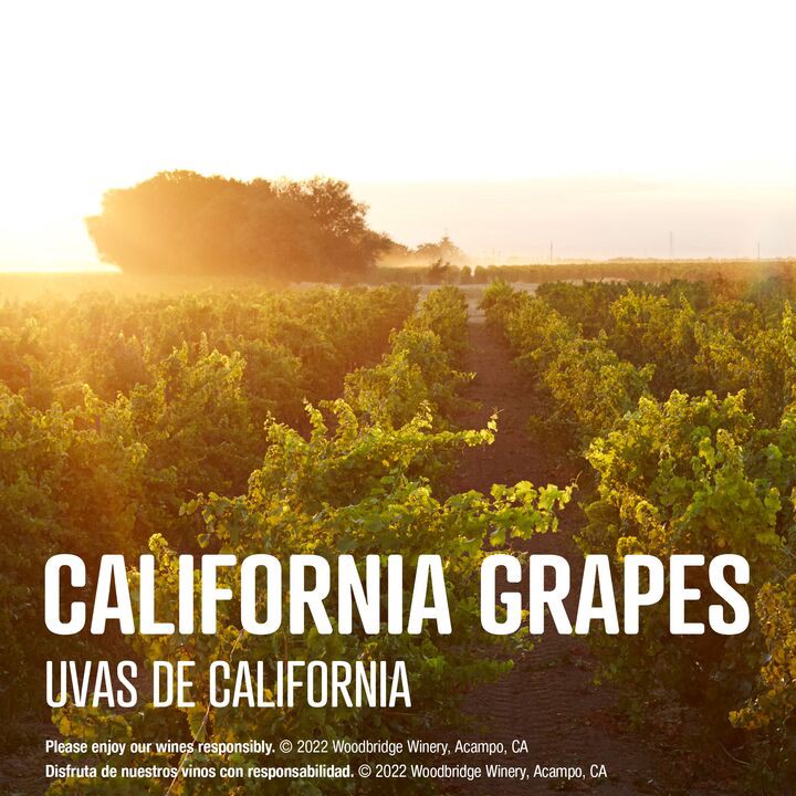 slide 3 of 5, Woodbridge by Robert Mondavi Sessions Sauvignon Blanc White Wine, 750 mL Bottle, 25.36 fl oz