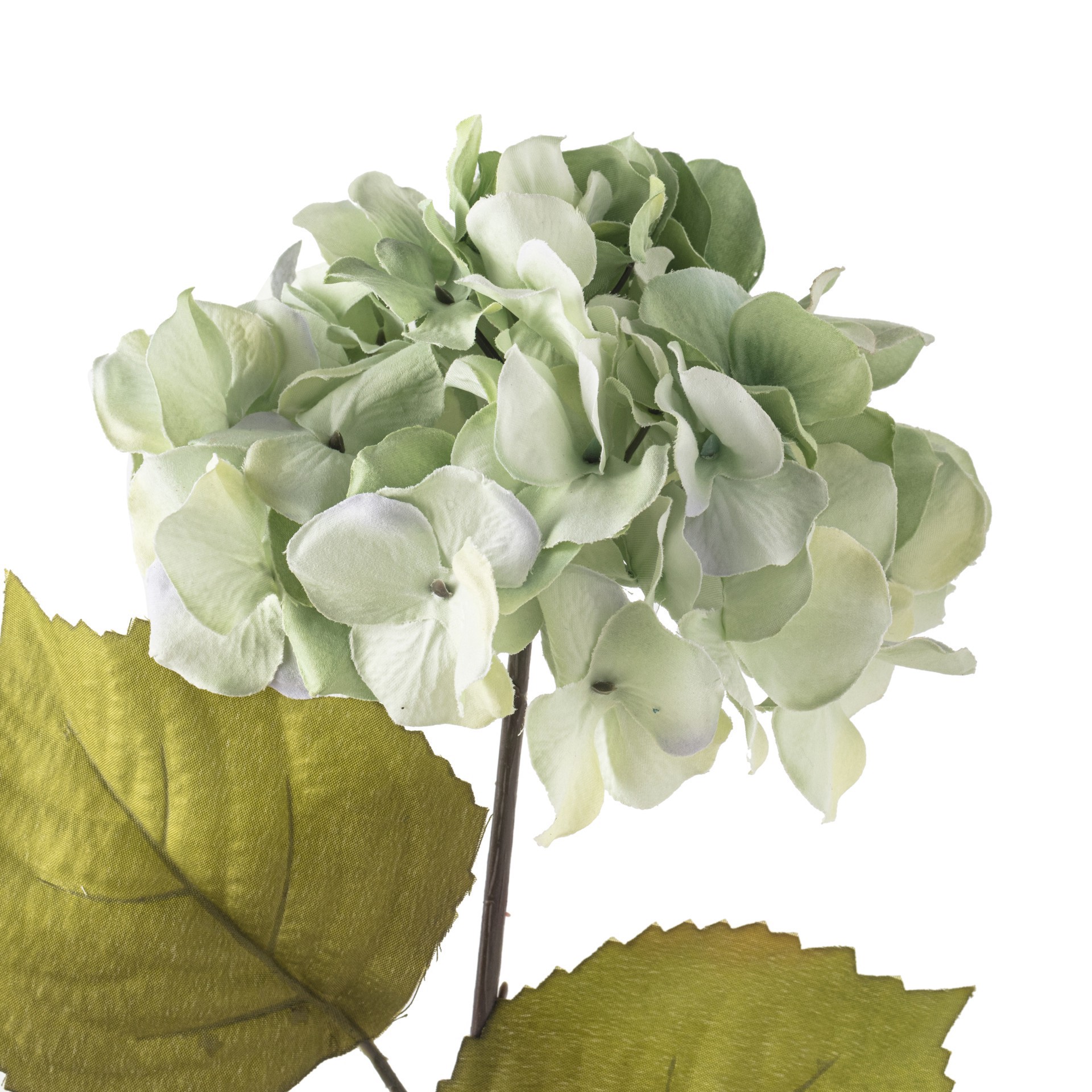 slide 2 of 4, Seafoam Green Hydrangea Stem By Ashland, 28 in