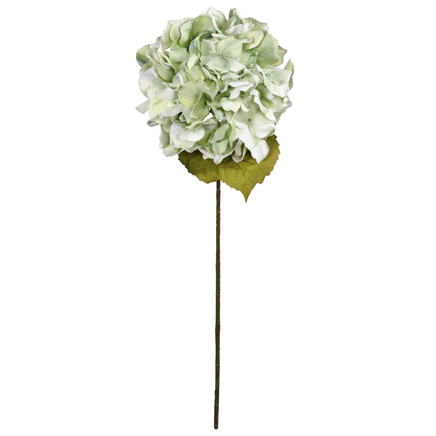 slide 3 of 4, Seafoam Green Hydrangea Stem By Ashland, 28 in