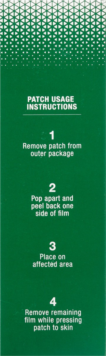 slide 9 of 13, Biofreeze Large Menthol Pain Relief Patches 12 ea, 12 ct