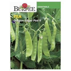 Burpee Asian Pea - Oregon Sugar Pod II