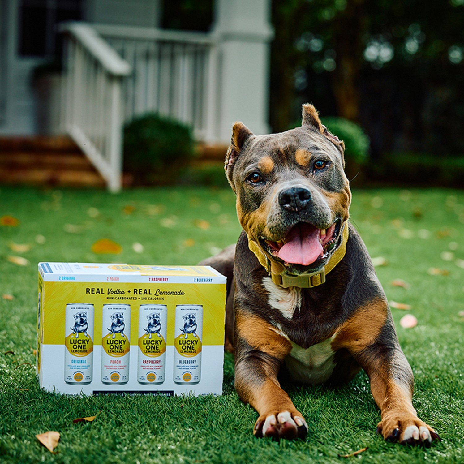 slide 3 of 3, Lucky One Lemonade Variety 8Pk Can 355Ml, 8 ct, 355 ml