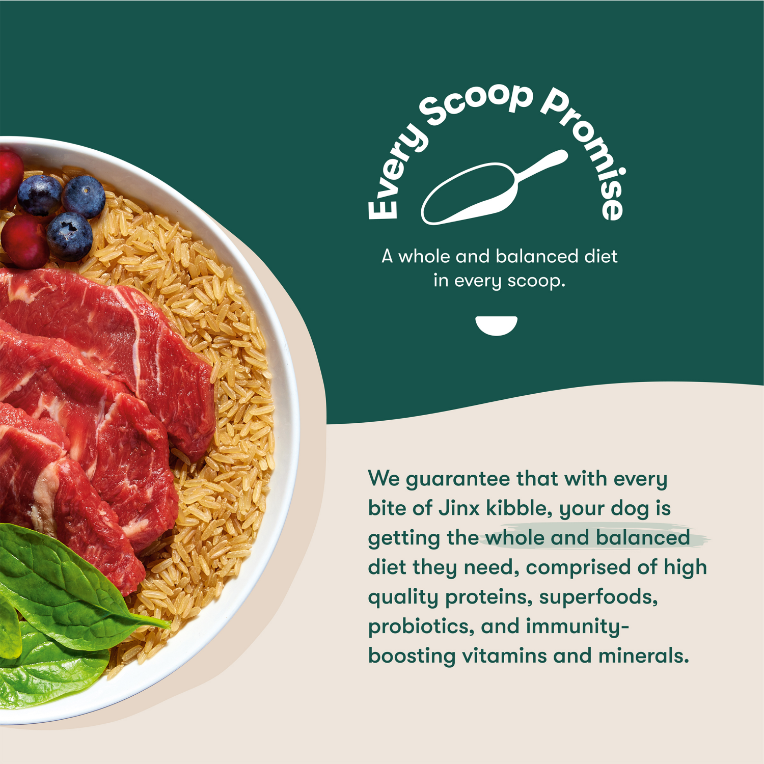 slide 3 of 8, Jinx Beef Brown Rice Sweet Potato 11.5lb Dry Dog Food Bag, 11.5 lb