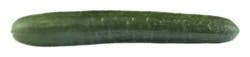 Cucumbers