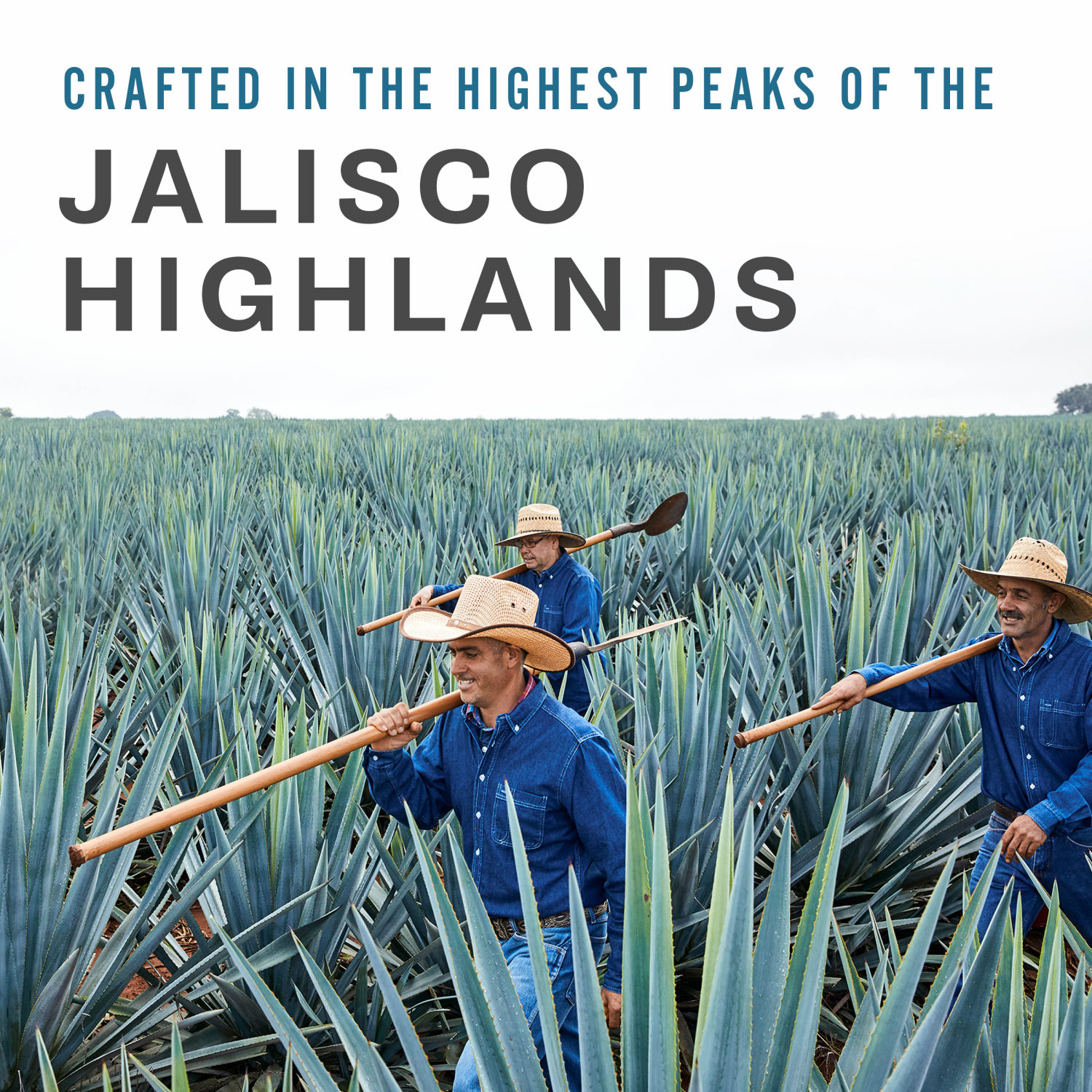 slide 3 of 4, Teremana Blanco Tequila 750 ml, 750 ml