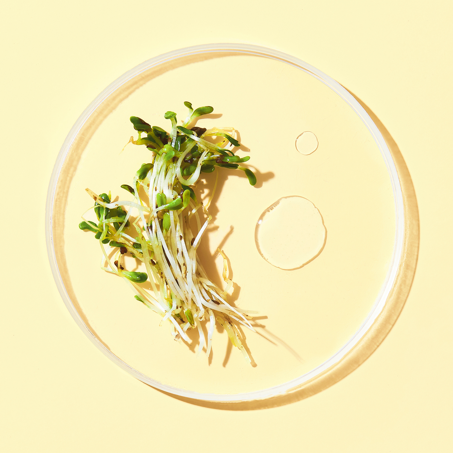 slide 3 of 6, Function of Beauty® Strengthen Hair Goal Booster Shots with Pea Sprout Extract, 2 ct