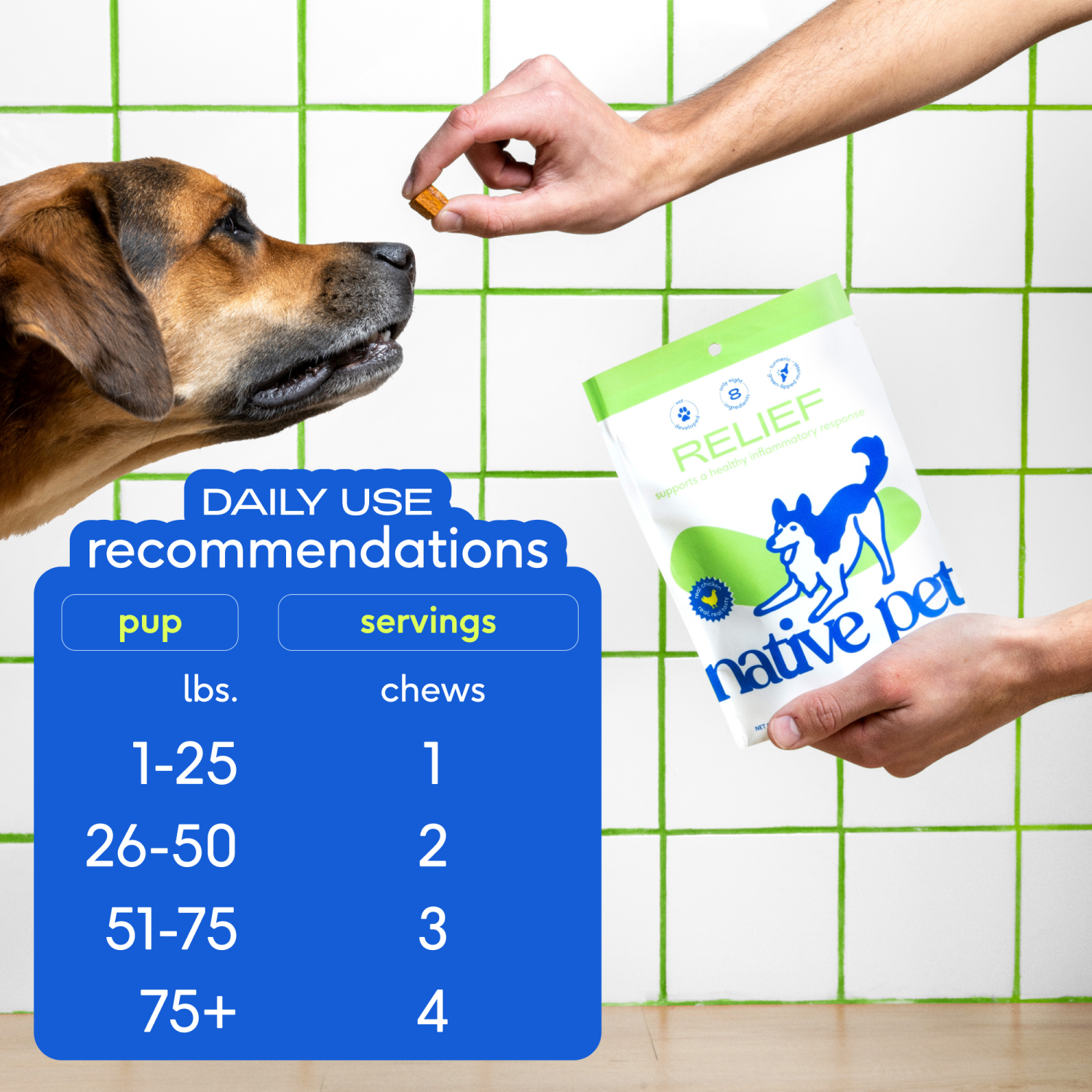 slide 3 of 7, Native Pet Anti Inflammatory Supplement & Dog Joint Relief, Count of 30, 1 ct