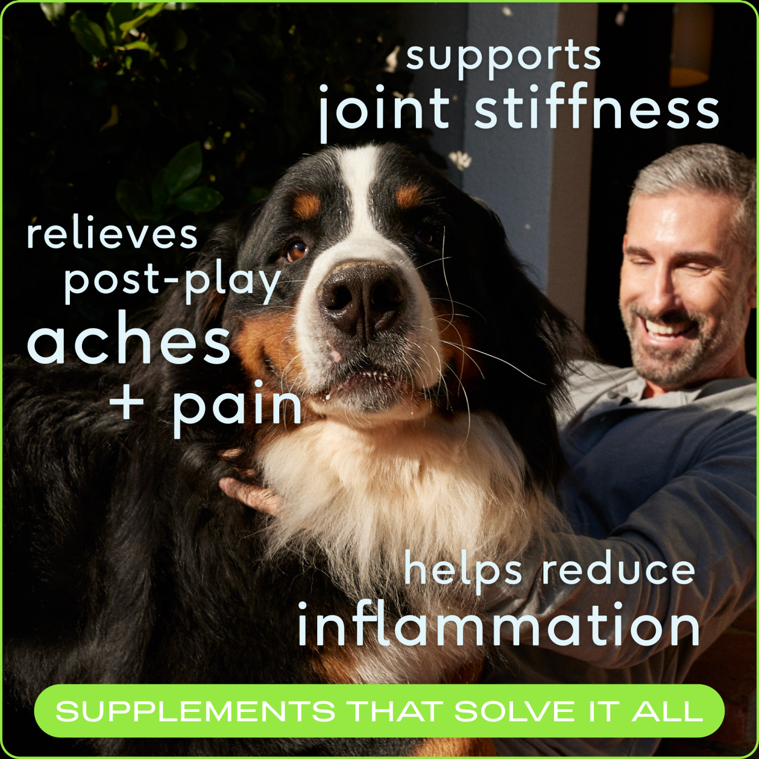 slide 4 of 7, Native Pet Anti Inflammatory Supplement & Dog Joint Relief, Count of 30, 1 ct