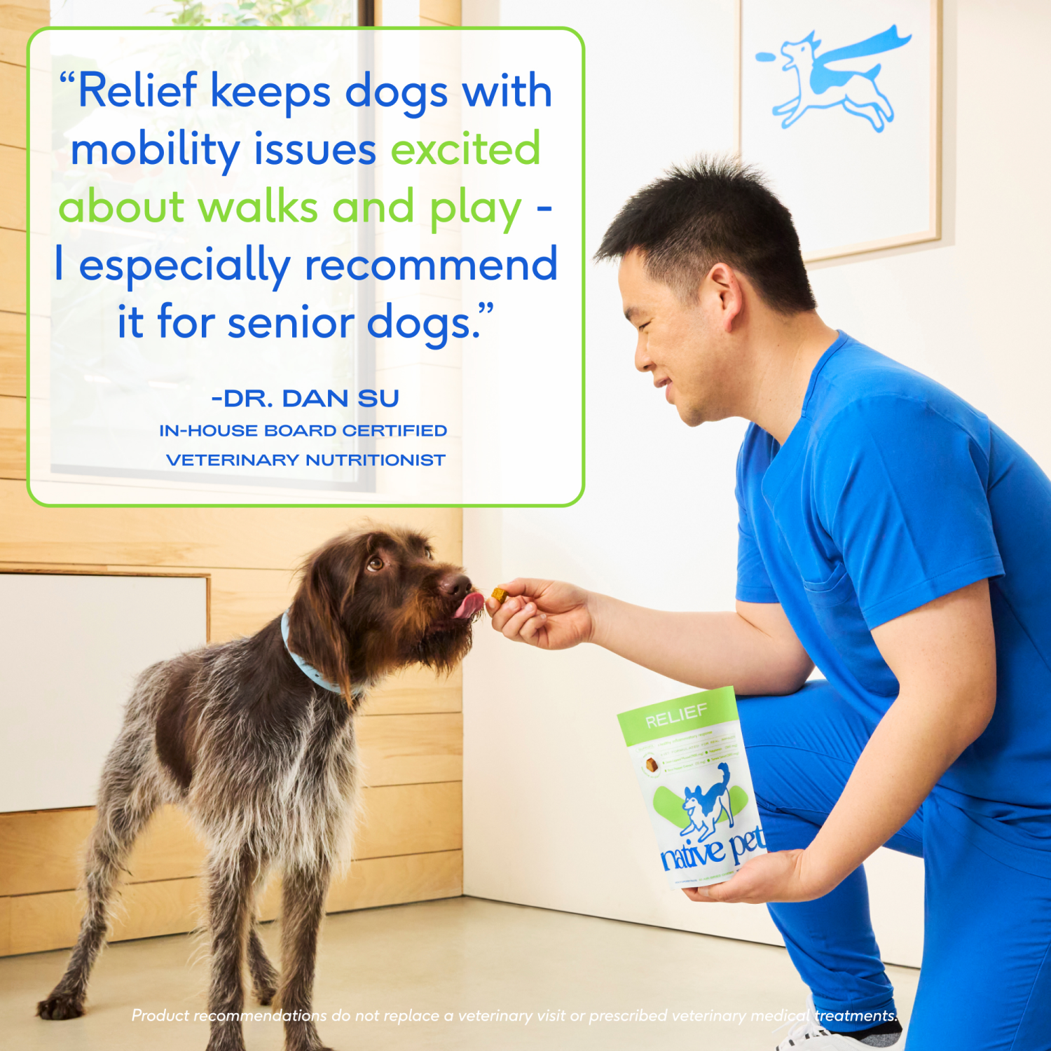 slide 7 of 7, Native Pet Anti Inflammatory Supplement & Dog Joint Relief, Count of 30, 1 ct