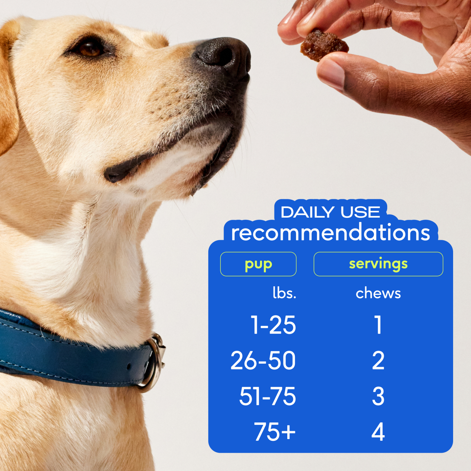 slide 6 of 8, Native Pet Skin & Coat Chews with Omega-3 Skin & Coat Supplement for Dogs, 30ct, 30 ct