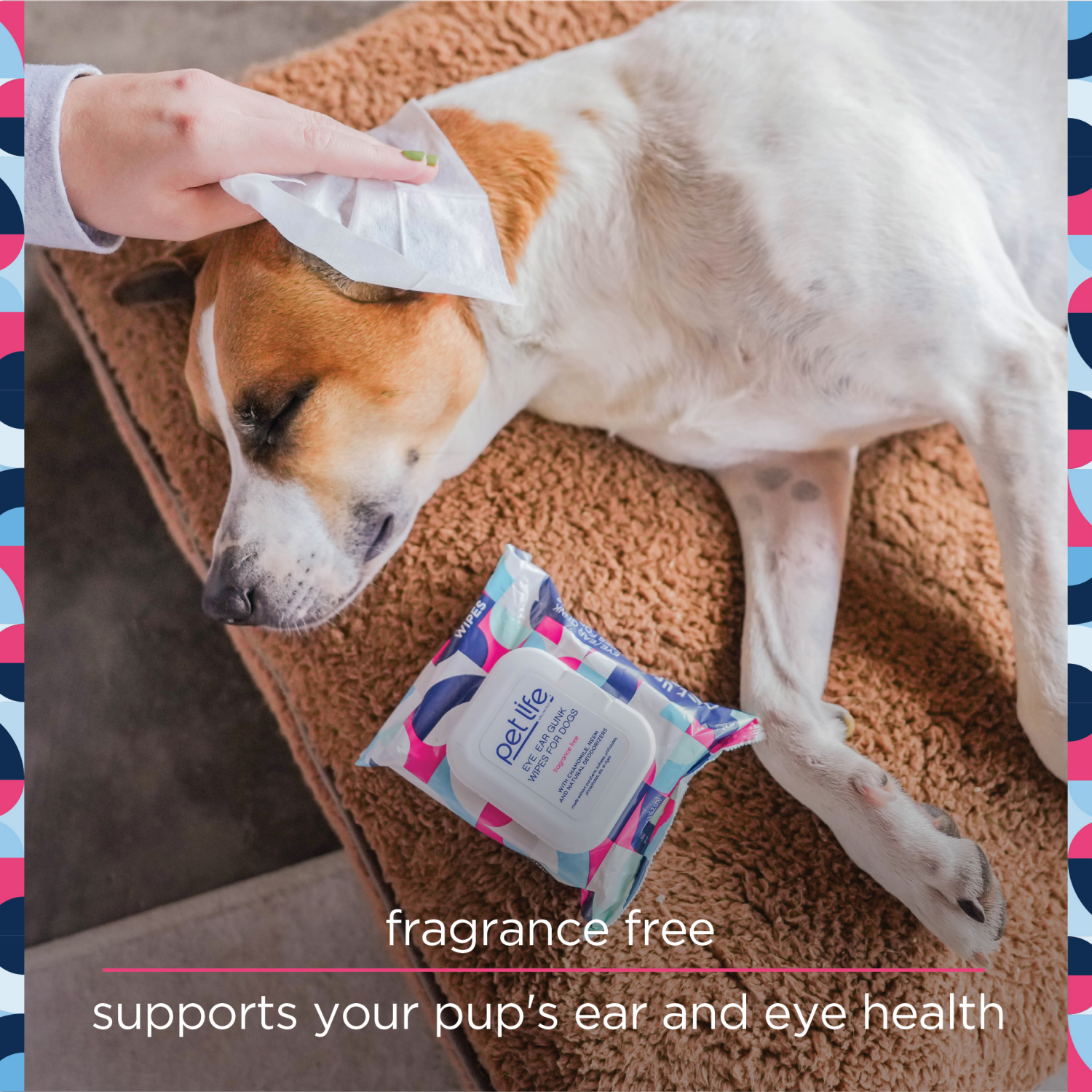 slide 2 of 5, Pet Life Eye/Ear Gunk Dog Wipes 30 ea, 30 ct