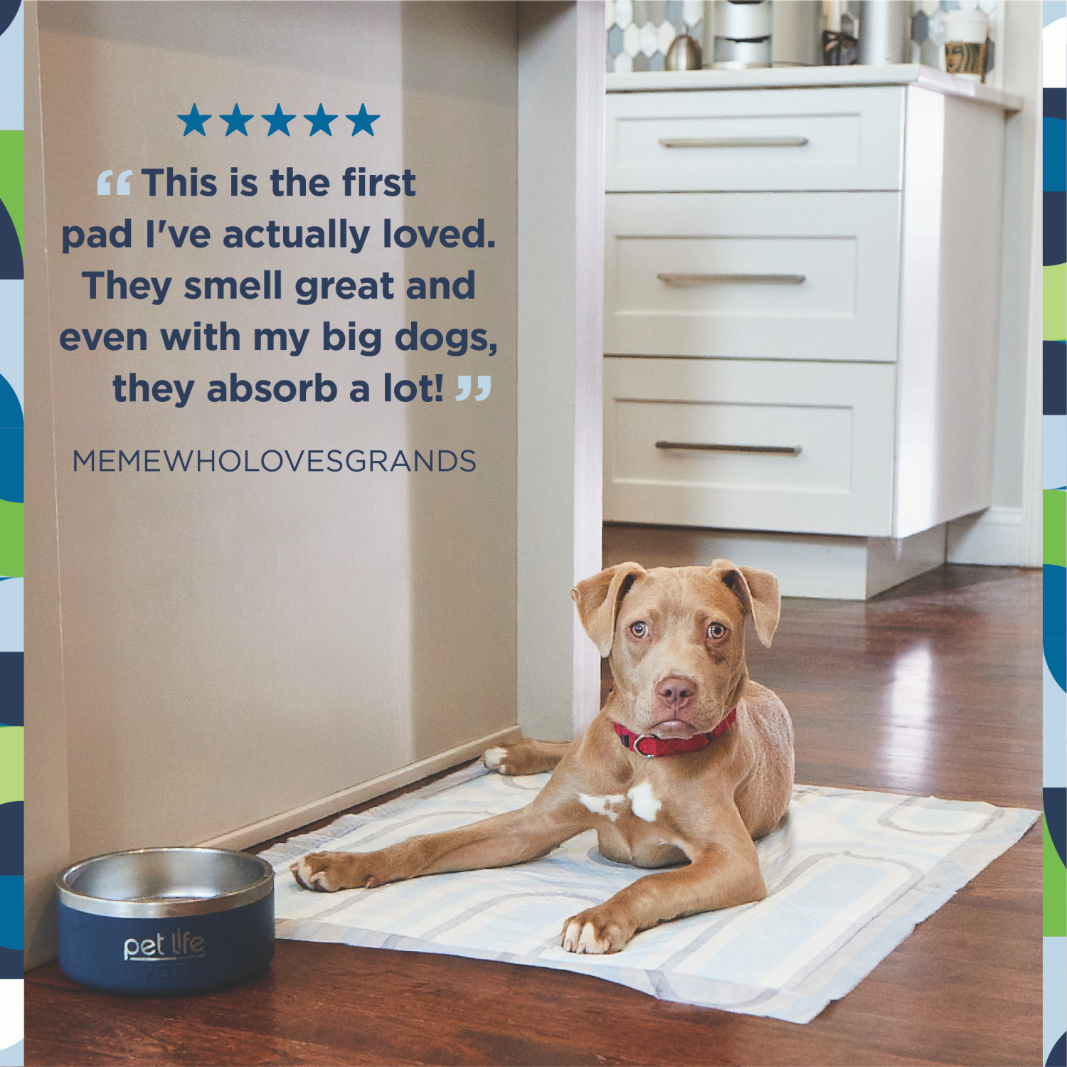 slide 4 of 5, Pet Life Unlimited Dog Pads, Smart Prints, XL, 25ct, 25 ct