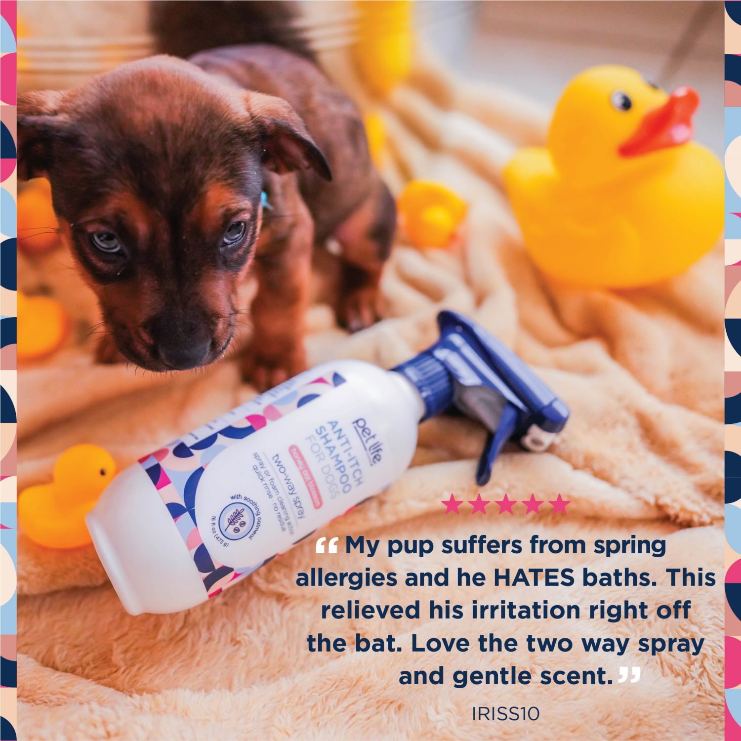 slide 4 of 5, Pet Life Unlimited Spray-On Dog Shampoo, Itch Relief, Honey Oat Blossom, 16oz, 16 oz