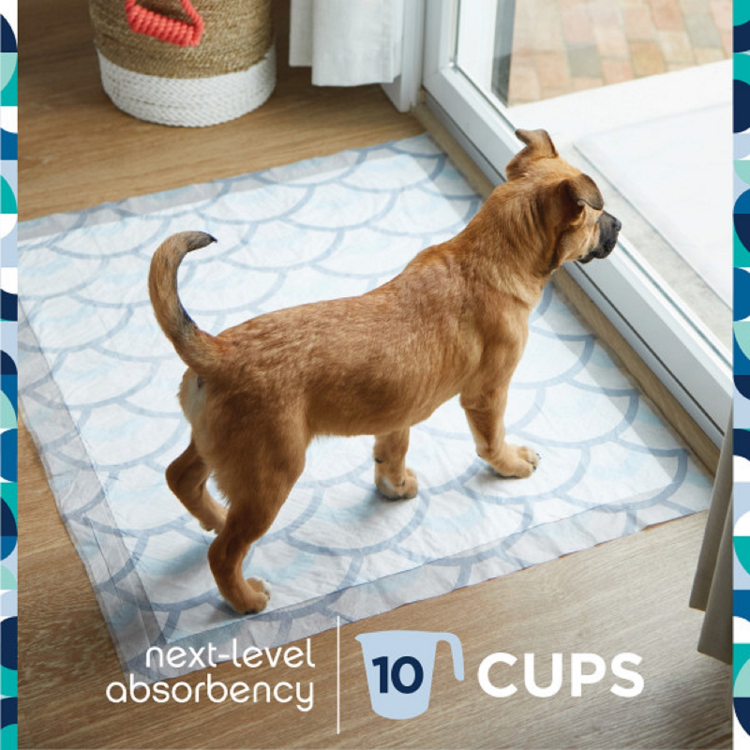 slide 2 of 5, Pet Life Unlimited Puppy Smart Prints Training Dog Pads - XXL - 30ct, 30 ct