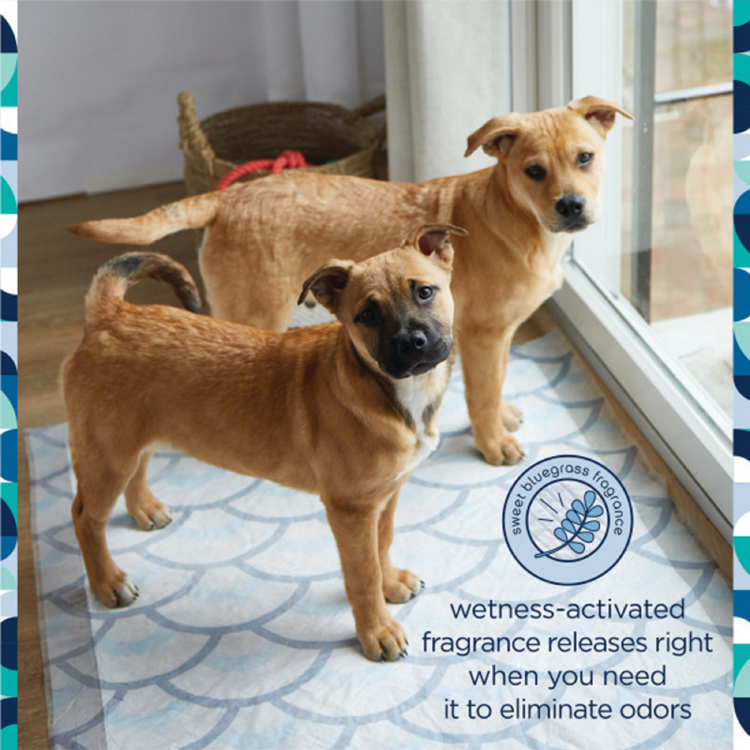 slide 4 of 5, Pet Life Unlimited Puppy Smart Prints Training Dog Pads - XXL - 30ct, 30 ct