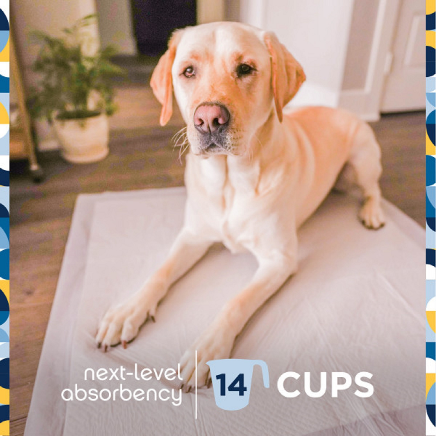 slide 4 of 5, Pet Life Unlimited Dog Pads, Heavy Duty, 3XL, 25ct, 25 ct