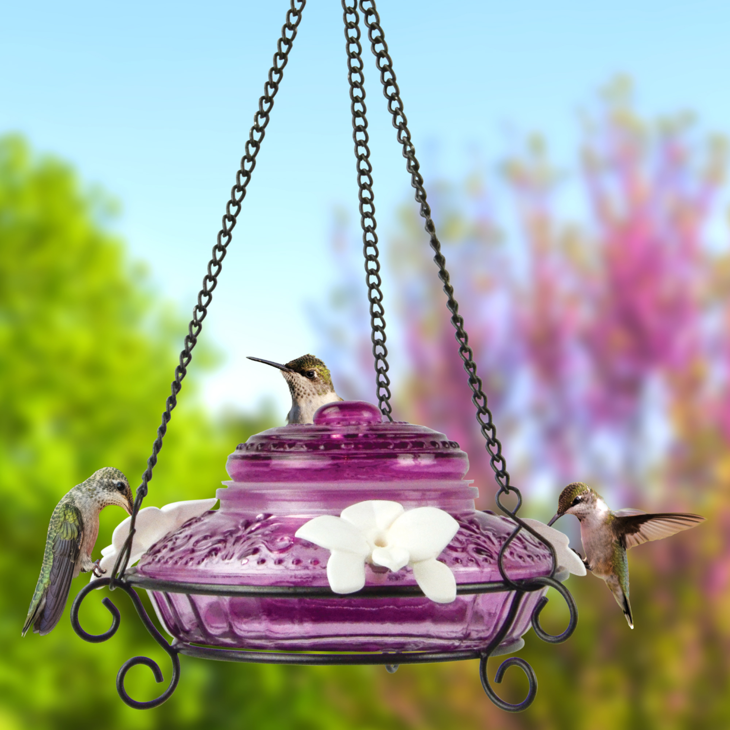 slide 6 of 6, Nature's Way Antique Top-Fill Plum Hummingbird Glass Feeder, 1 ct