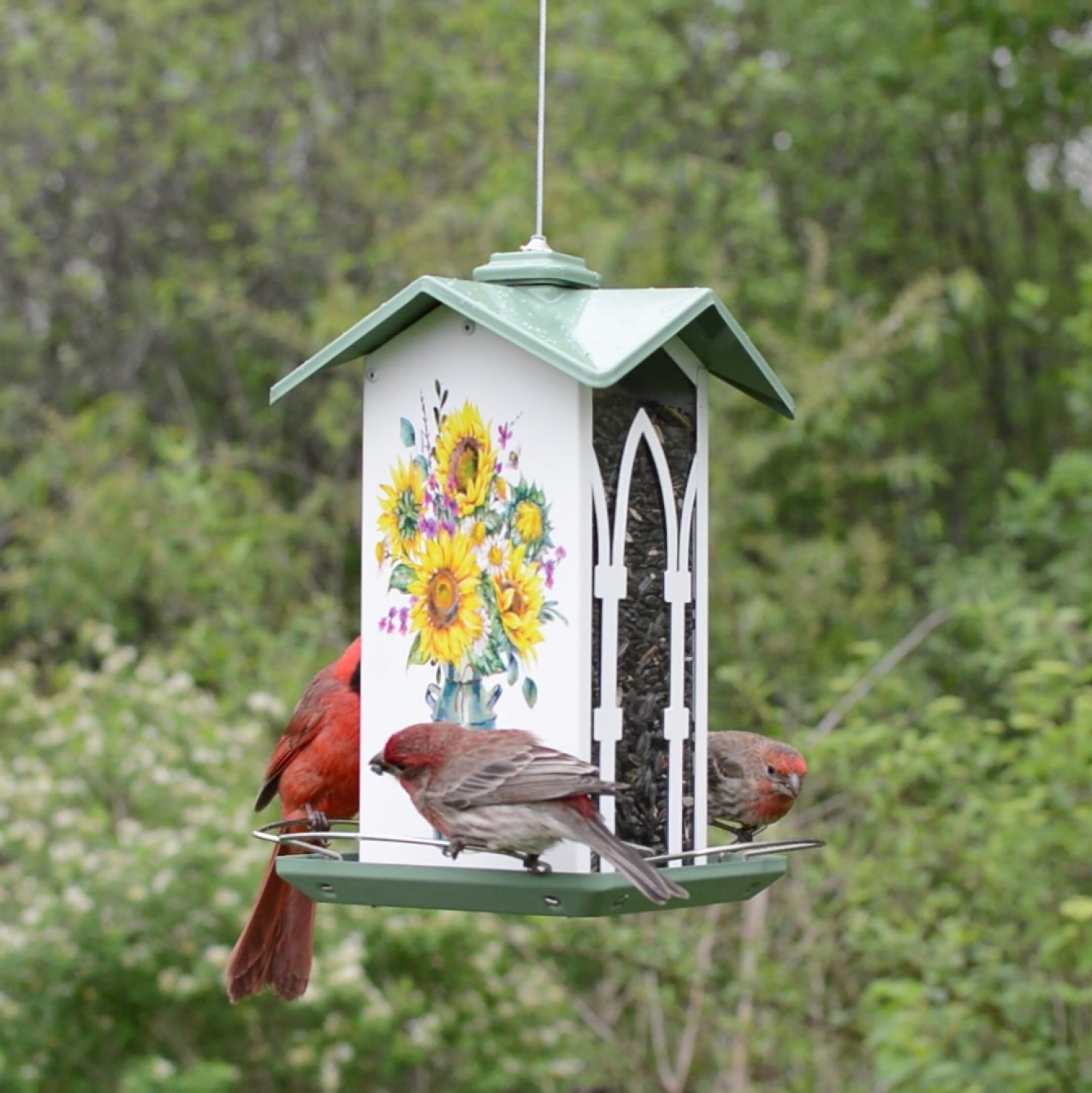 slide 3 of 7, Nature's Way Country Cottage Gazebo Bird Feeder, 1 ct