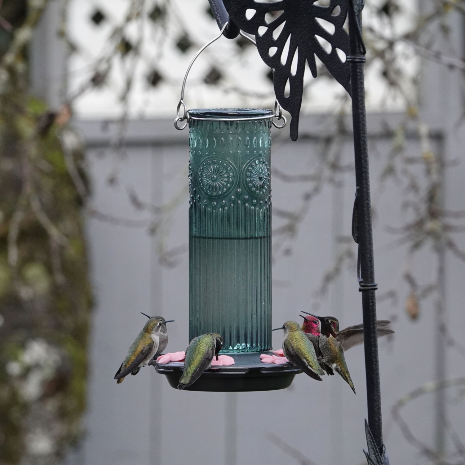 slide 3 of 4, Nature's Way Hummingbird Feeder Antique Glass Teal, 28 oz