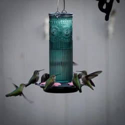Nature's Way Hummingbird Feeder Antique Glass Teal
