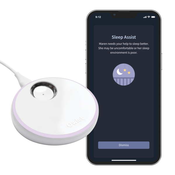 slide 18 of 21, Owlet 0-18 Months Mint Original Dream Sock 1 ea, 1 ct