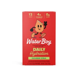 Water Boy Daily Hydration Cucumber Citrus Electrolyte Drink Mix 12 - 0.11 oz Stick Packs