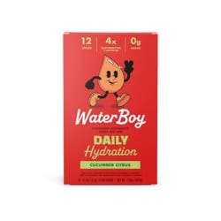 Water Boy Daily Hydration Cucumber Citrus Electrolyte Drink Mix 12 - 0.11 oz Stick Packs