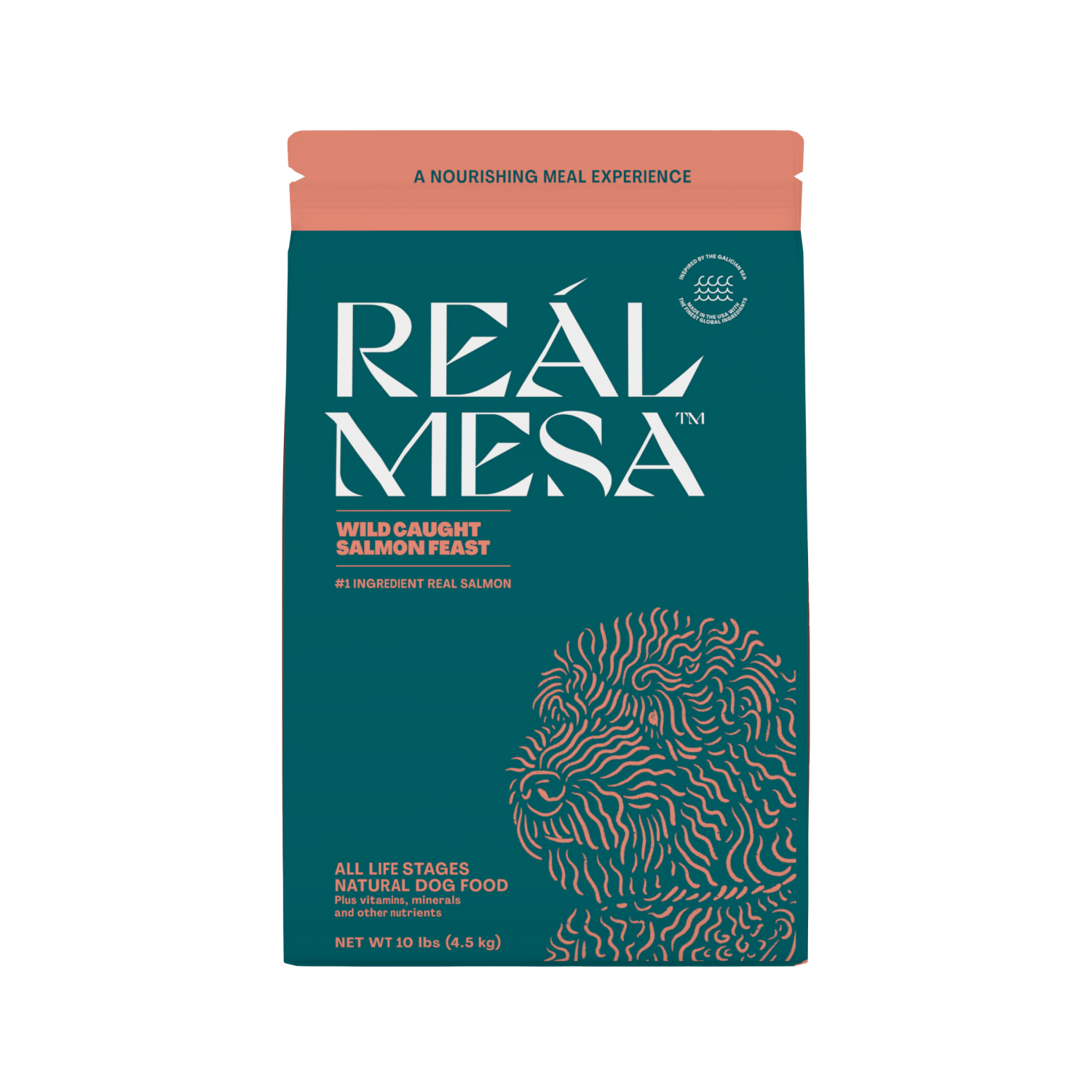 slide 1 of 5, REAL MESA REÁL MESA Adult Dog Food Wild Caught Salmon Feast, 10 Lb, 10 lb