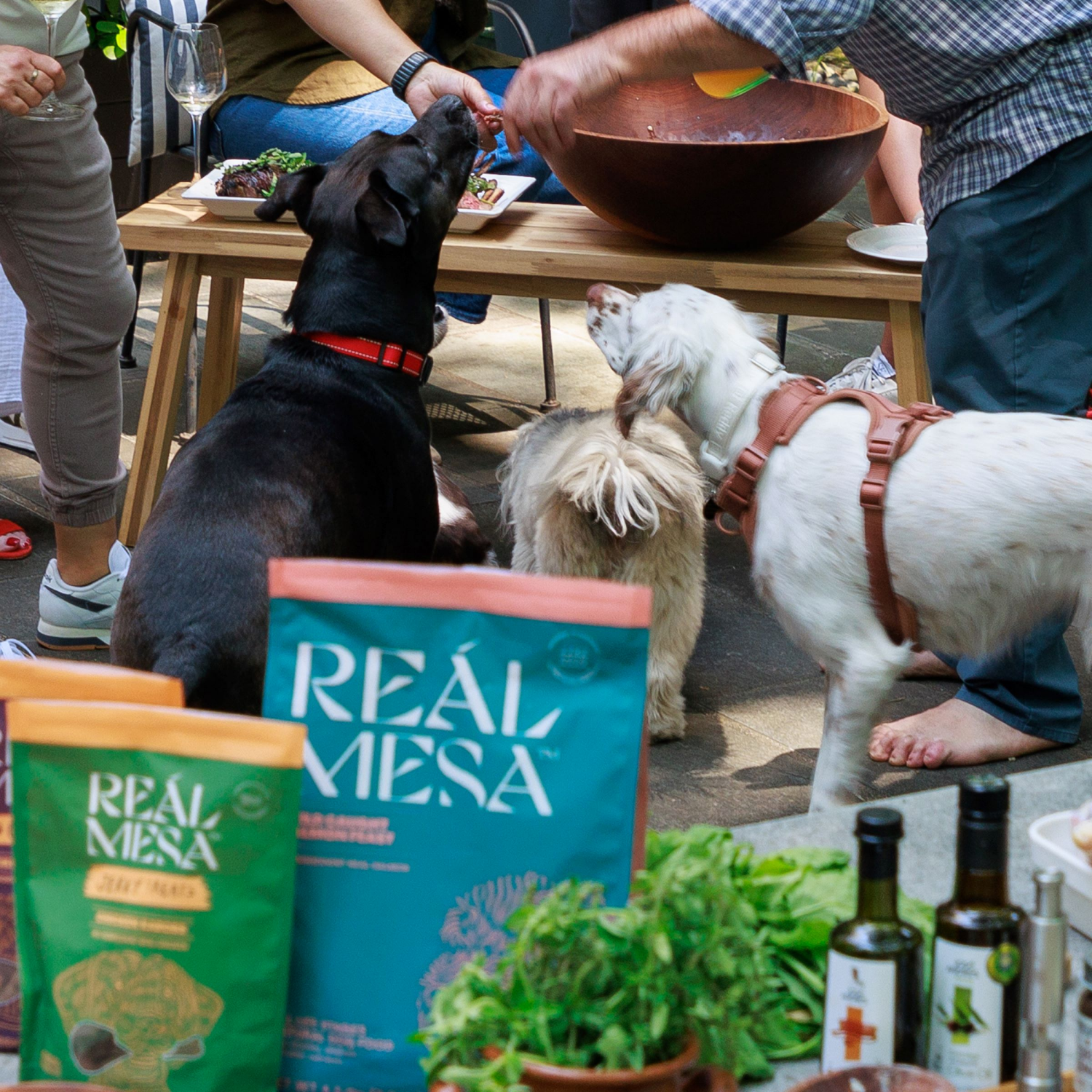 slide 7 of 8, REAL MESA REÁL MESA Adult Dog Food Wild Caught Salmon Feast, 18 Lb, 18 lb