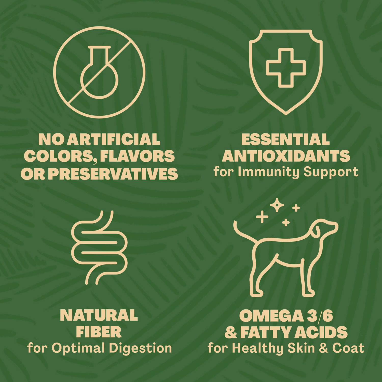 slide 5 of 5, REAL MESA REÁL MESA Adult Dog Food Lamb & Tomato Stew, 18 Lb, 18 lb