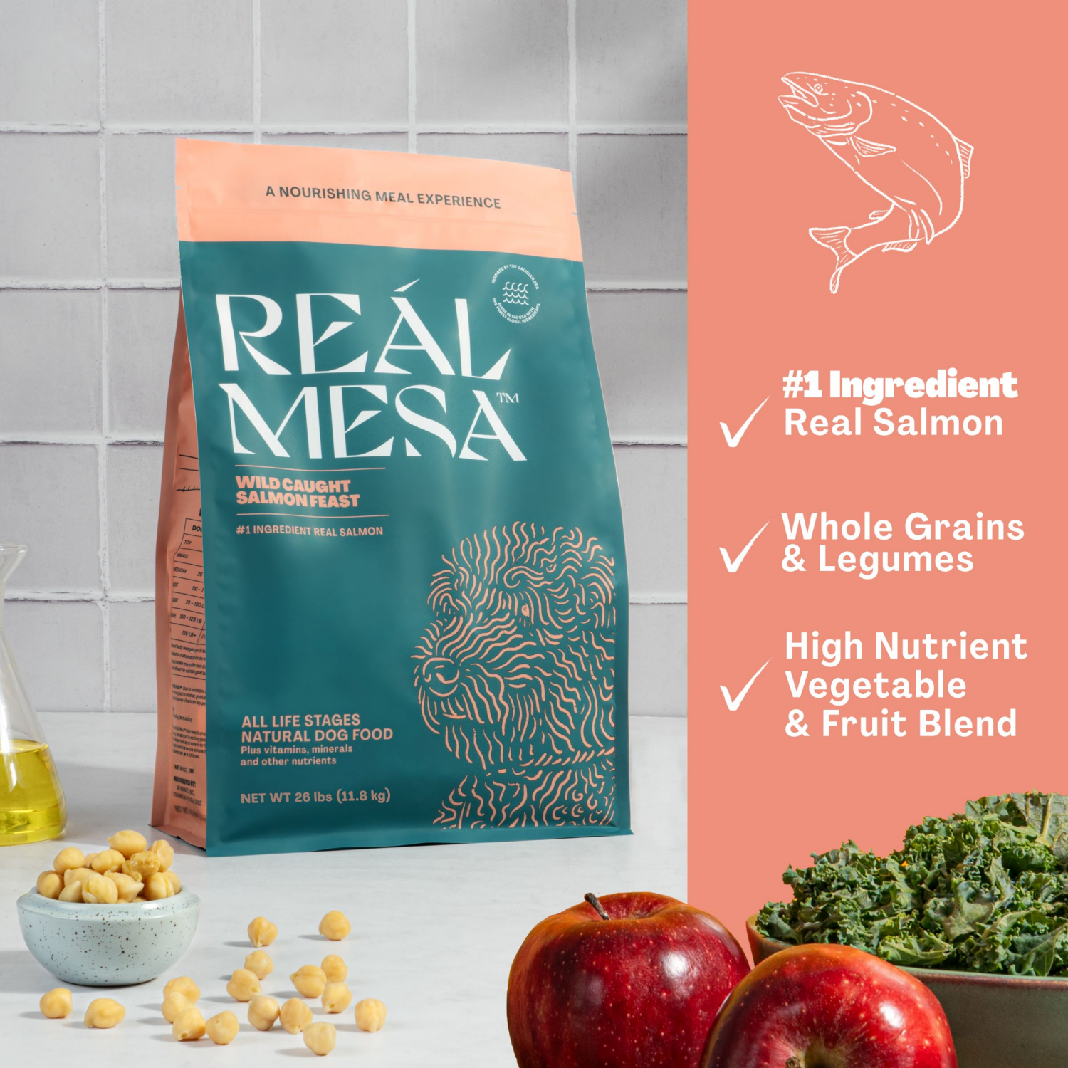 slide 4 of 5, REAL MESA REÁL MESA Adult Dog Food Wild Caught Salmon Feast, 26 Lb, 26 lb