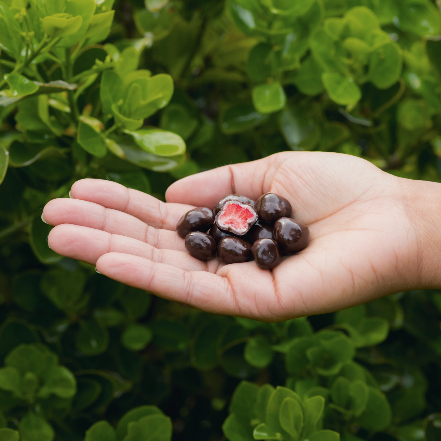 slide 5 of 8, Tru Fru Grab & Share Freeze-Dried Strawberries in White & Dark Chocolate, 3.4 oz