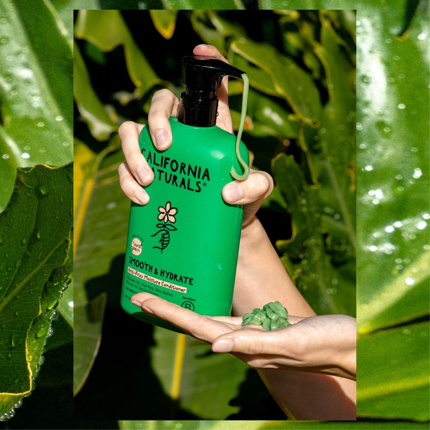 slide 3 of 11, California Naturals Super Moisture Conditioner - Sweetgrass & Fig, 16.5 oz