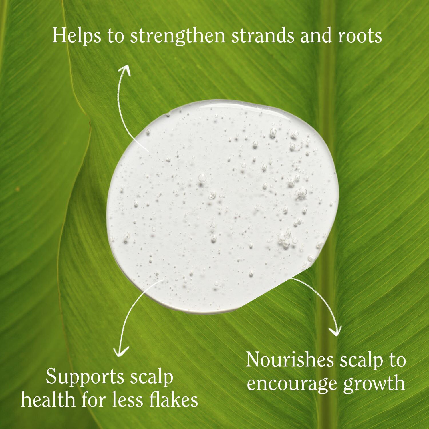 slide 6 of 9, California Naturals Length & Strength Re:Gro Anti-Thinning Shampoo, 16.5 Oz, 16.5 oz