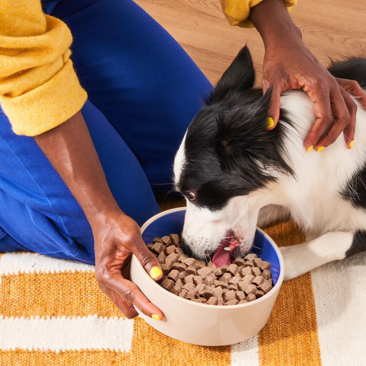 slide 7 of 8, Heckova! Bow Wow Beef Recipe Freeze-Dried Raw Dog Food, 8 oz, 8 oz