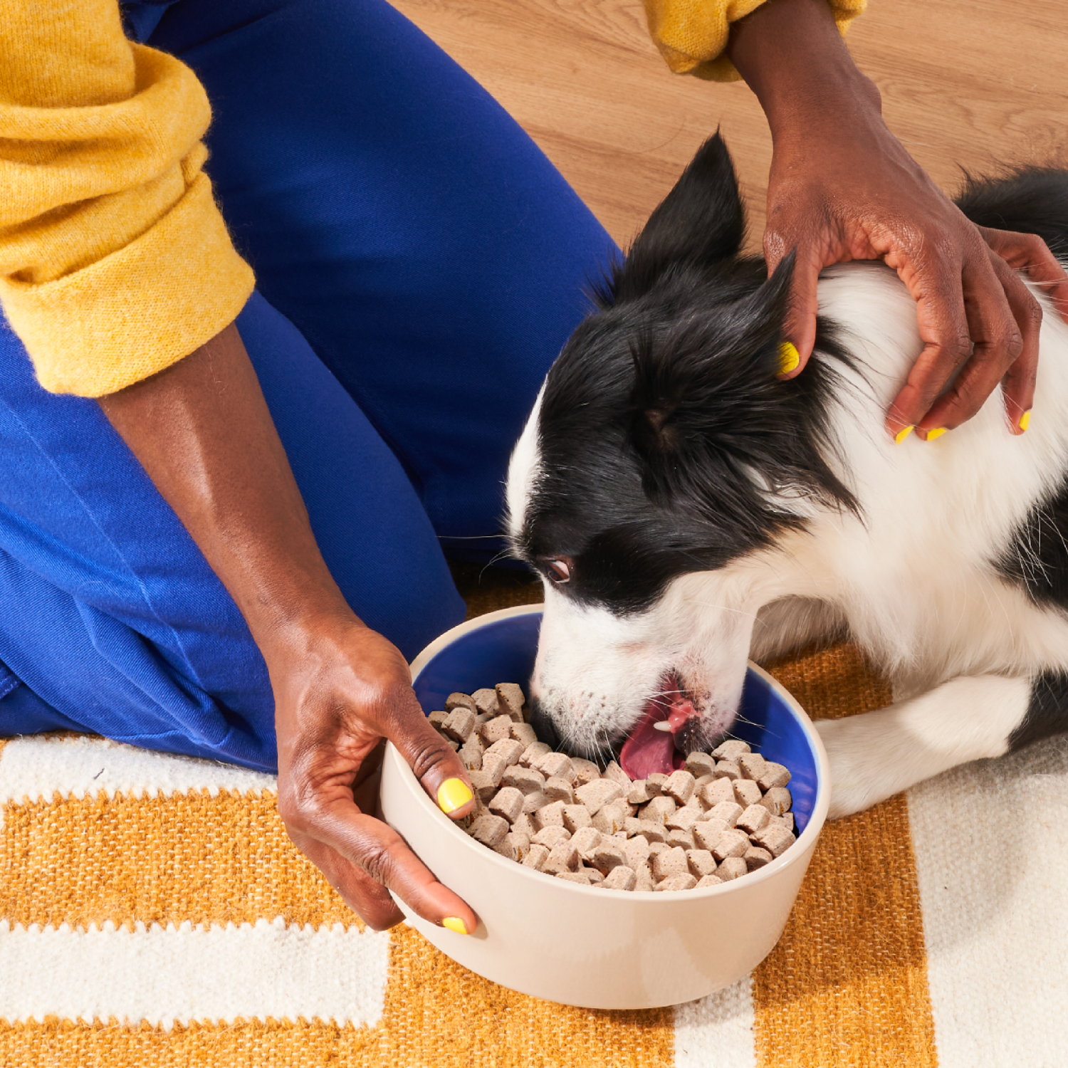 slide 8 of 8, Heckova! Chonky Chicken Recipe Freeze-Dried Raw Dog Food, 8 oz, 8 oz