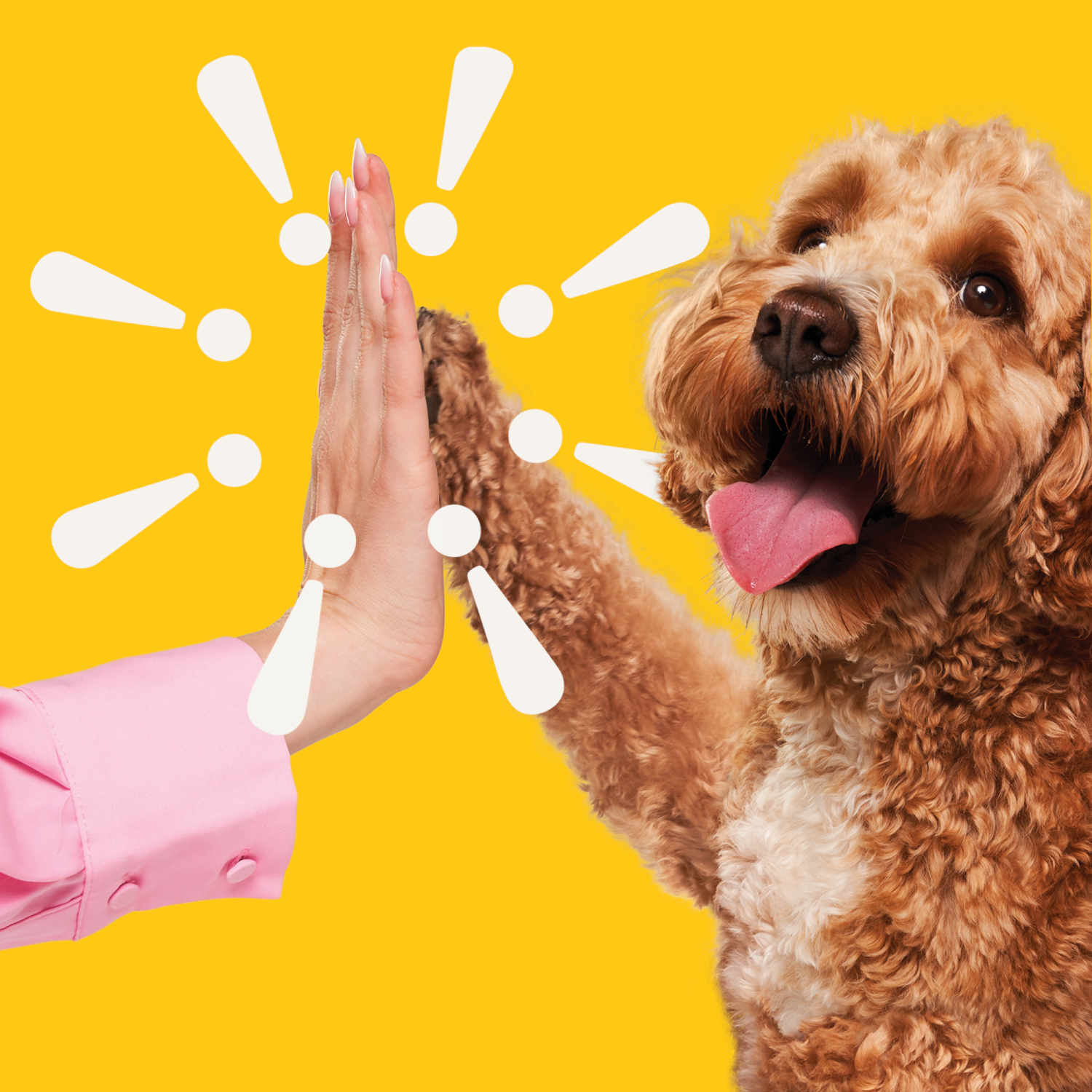 slide 4 of 7, Heckova! Chop Lickin' Chicken Recipe Freeze-Dried Raw Dog Treats & Topers, 4 oz, 4 oz